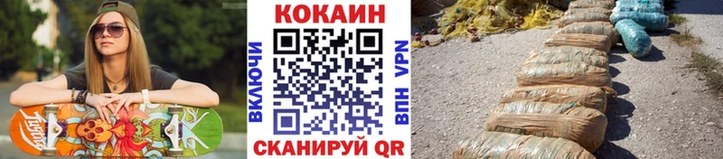 Купить где  Краснознаменск  COCAIN VHQ 
