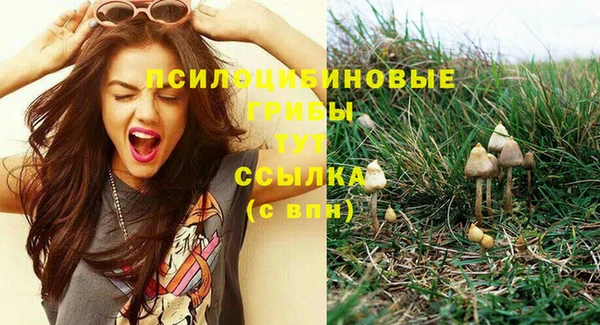 мет Вяземский