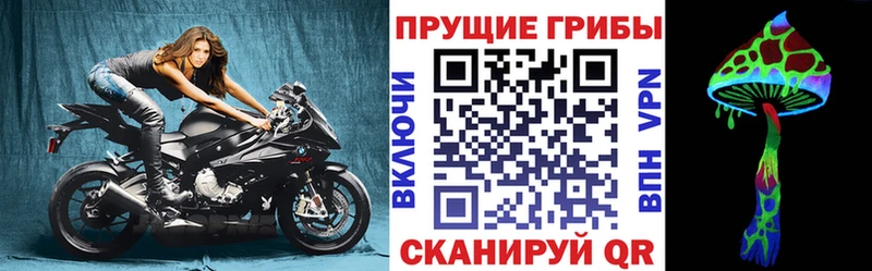 Галлюциногенные грибы MAGIC MUSHROOMS  Купить где  Краснознаменск 